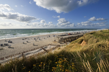 Sylt, am Roten Kliff in Kampen