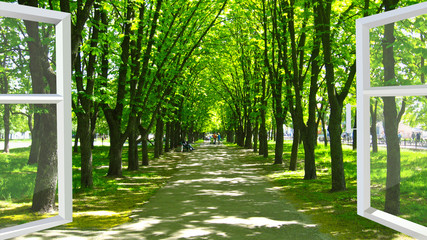 Fototapety  okno otwarte na piękny park z wieloma zielonymi drzewami