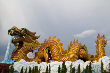 Fototapeta premium Dargon