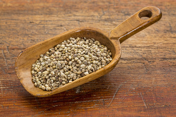 scoop of hemp seeds