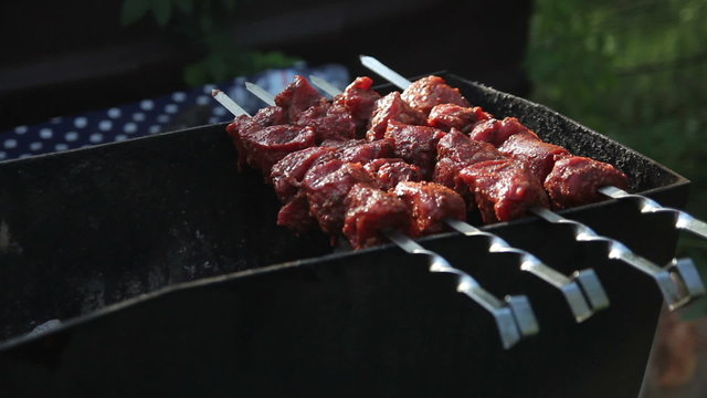 meat on skewers close-up