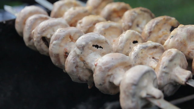 mushrooms on skewers. 2 shots