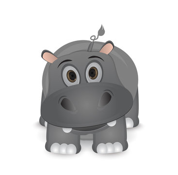 cute cartoon isolated hippo illustration