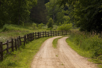 Rustic Country Road - Powered by Adobe