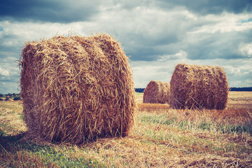 Field with hay bales in cloudy weather