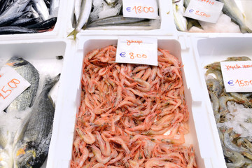 Fresh seafood in a Greek market