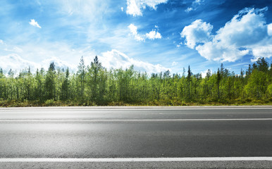 Naklejka premium asphalt road and forest