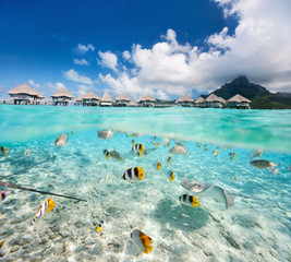 Tropical island under and above water