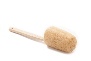 loofah