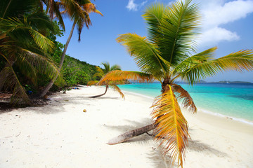Naklejka na ściany i meble Beautiful tropical beach at Caribbean