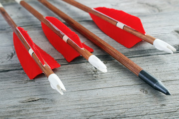 Wooden archery arrows with plastic nocks closeup - 73252270