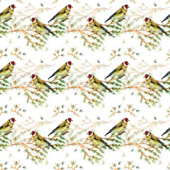 seamless texture with cute birds watercolor