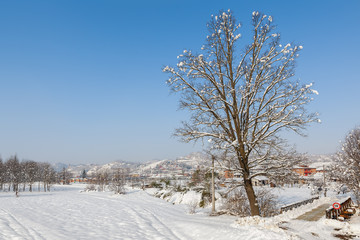 Fototapeta na wymiar Rural field covered with snow.