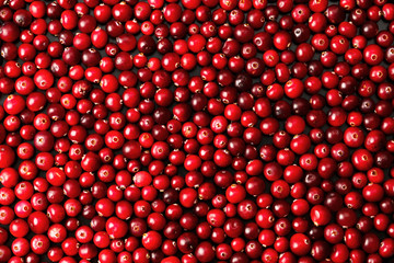 Ripe cranberries for background