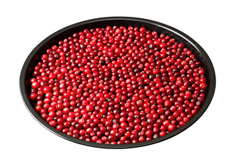 Cowberry isolated on a metal tray