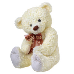 White teddy bear