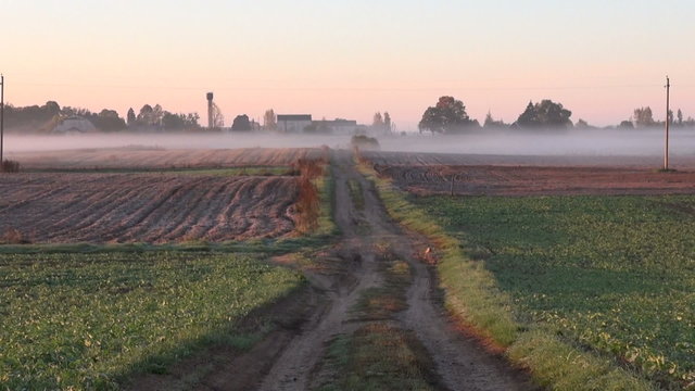 mornining farm field and road in frost rime and mist