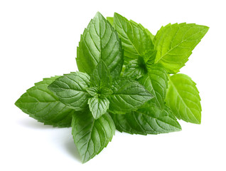 Peppermint leaves