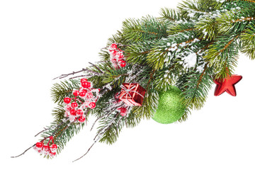 Christmas snow fir tree branch with holly berry and decor