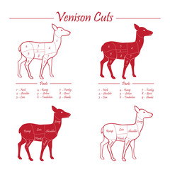 Venison meat cut diagram scheme - blackboard