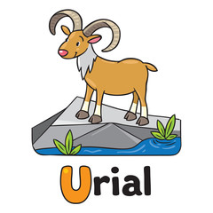 Little funny urial or ram, for ABC. Alphabet U