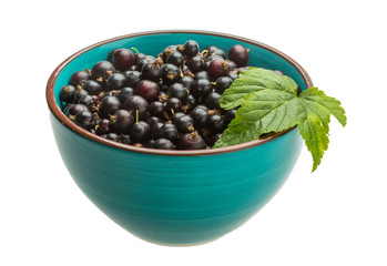 Black currant