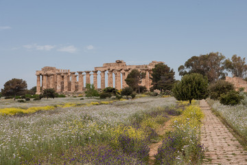 Les temples de Selinonte