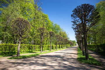 Kuskovo park