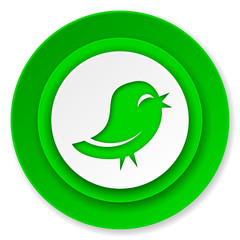 twitter icon