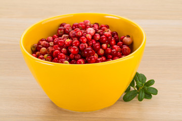 Cowberry
