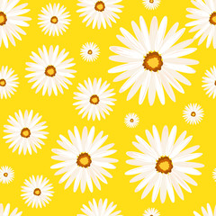 Spring seamless background with camomile flowers. Vector EPS10.