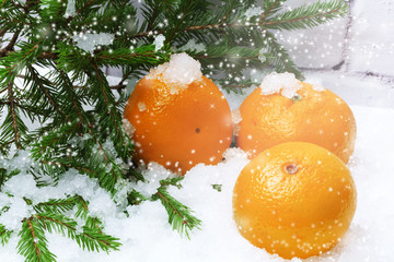 Fototapeta na wymiar tangerines snow spruce