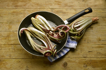 Radicchio Rosso di Treviso Cucina italiana Expo Milano 2015