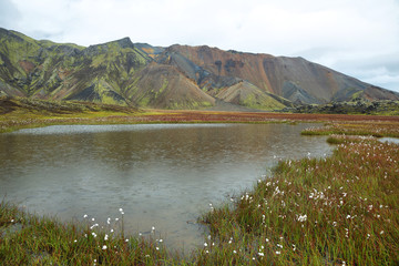Fototapeta na wymiar Multicolored mountains at Landmannalaugar