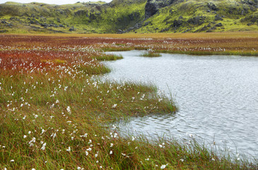 Lake in Vondugil area of Landmannalaugar