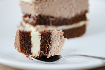 piece of chocolate cake on a white plate