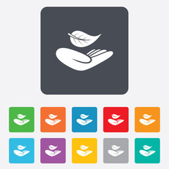 Nature insurance sign. Hand holds leaf symbol