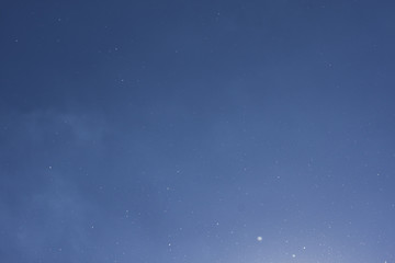 Obraz premium Blütenstaub in der Luft