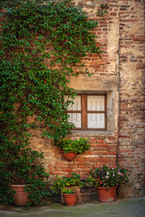 Fototapeta na wymiar Window with plant
