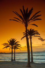 Obraz na płótnie Canvas Sunset on the beach