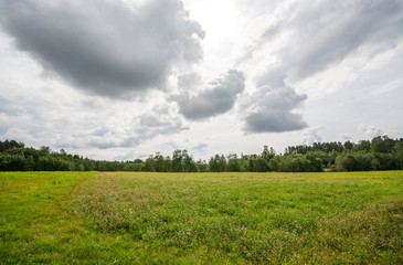 Obraz premium Summer field, massive sky scape