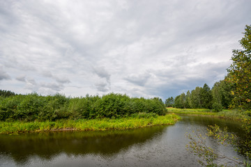 Fototapeta na wymiar River landscape, summer forest