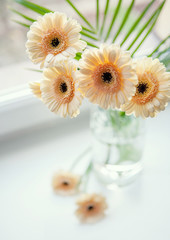 Gerberas bouquet on the windowsill with bright daylight