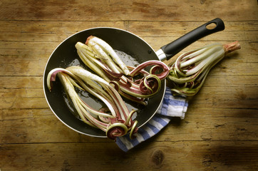 Radicchio Rosso di Treviso Cucina italiana Expo Milano 2015