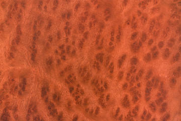 red brown wood texture