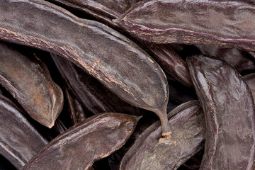 Carob Pods (Certonia siliqua)
