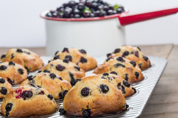 Pan of fresh picked berries and muffins