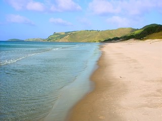 New Zealand Beach