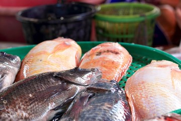 Fresh fish in the market.
