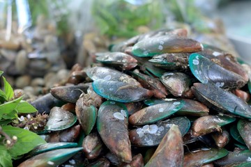 Fresh shellfish at the market